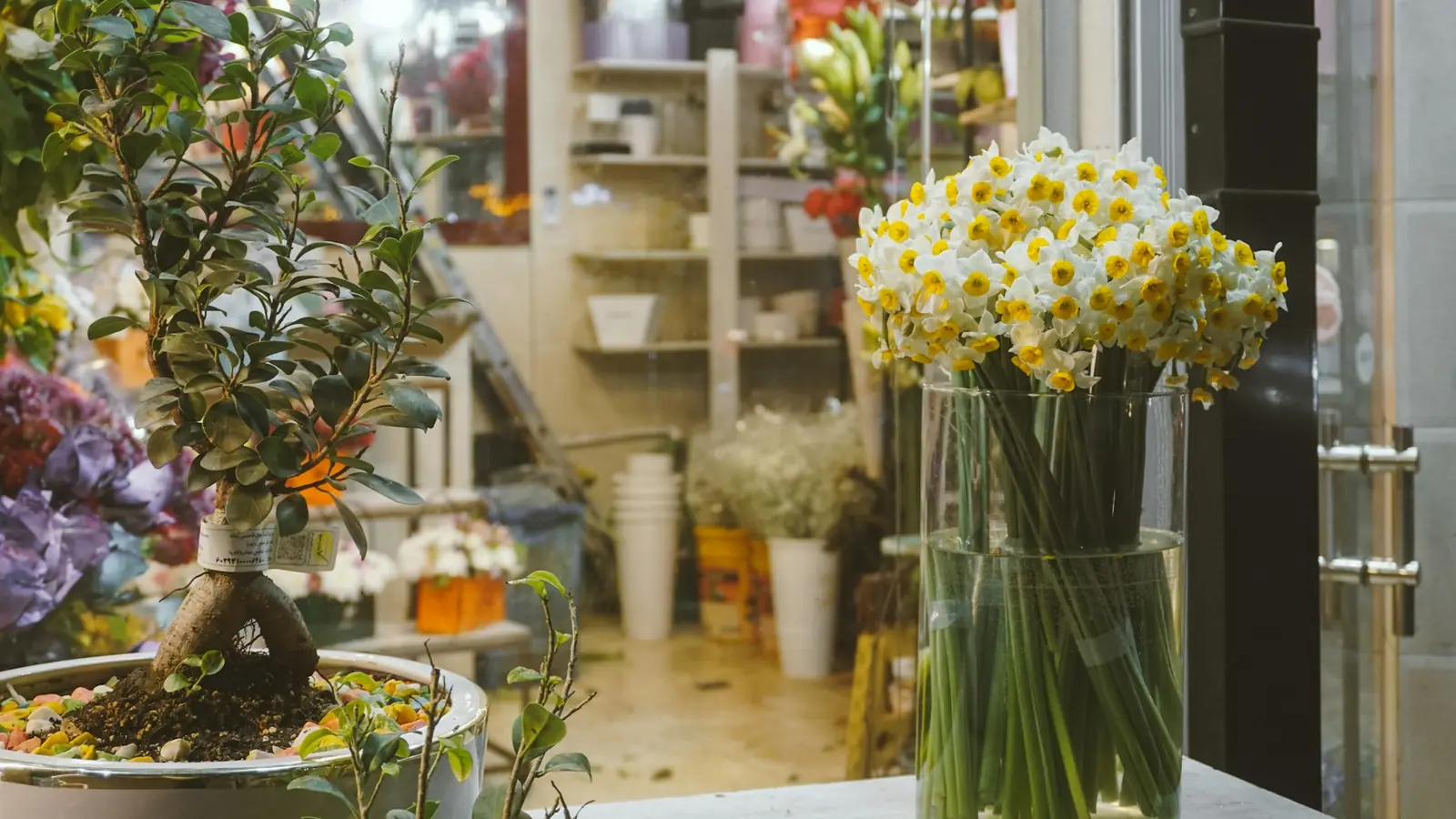 Blick in einen kleinen Blumenladen, vorn eine Glasvase mit Narzissen